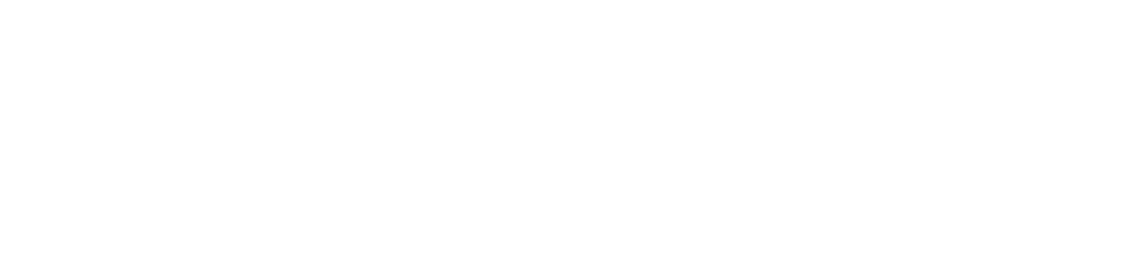 Celimo Tire USA logo